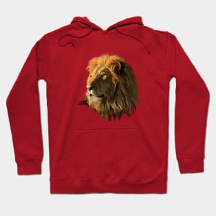 Löwe Hoodie